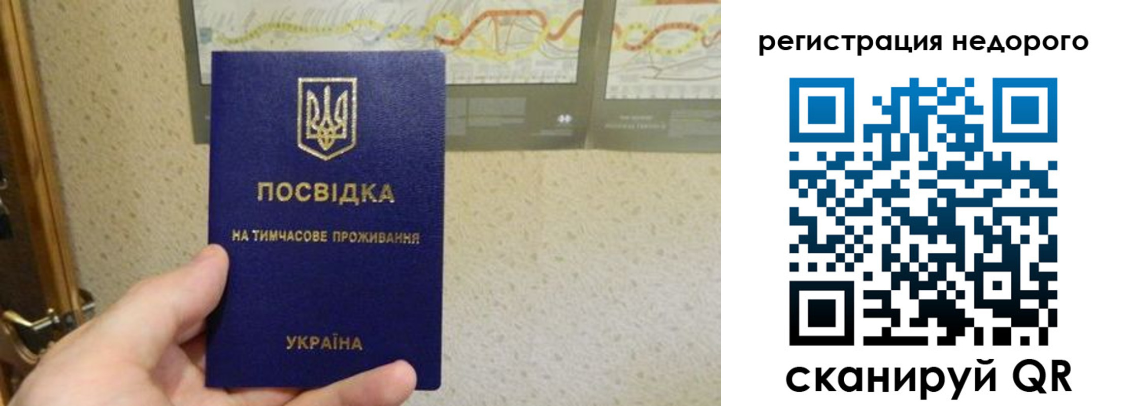 прописка для работы в Пионерском